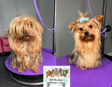 Load image into Gallery viewer, Bath & Fluff dry π(Deposit Only)