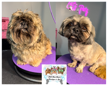Load image into Gallery viewer, Deluxe 🐾Full Dog Groom (Deposit only)