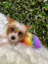Load image into Gallery viewer, Creative Groom πΎπ¨ (Deposit Only)