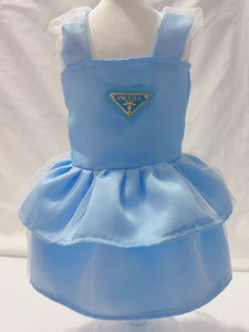 Pawrella Blue Dress