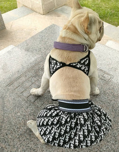 Waikiki Dog bathing suit
