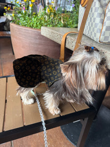 Hamptons Pet dress