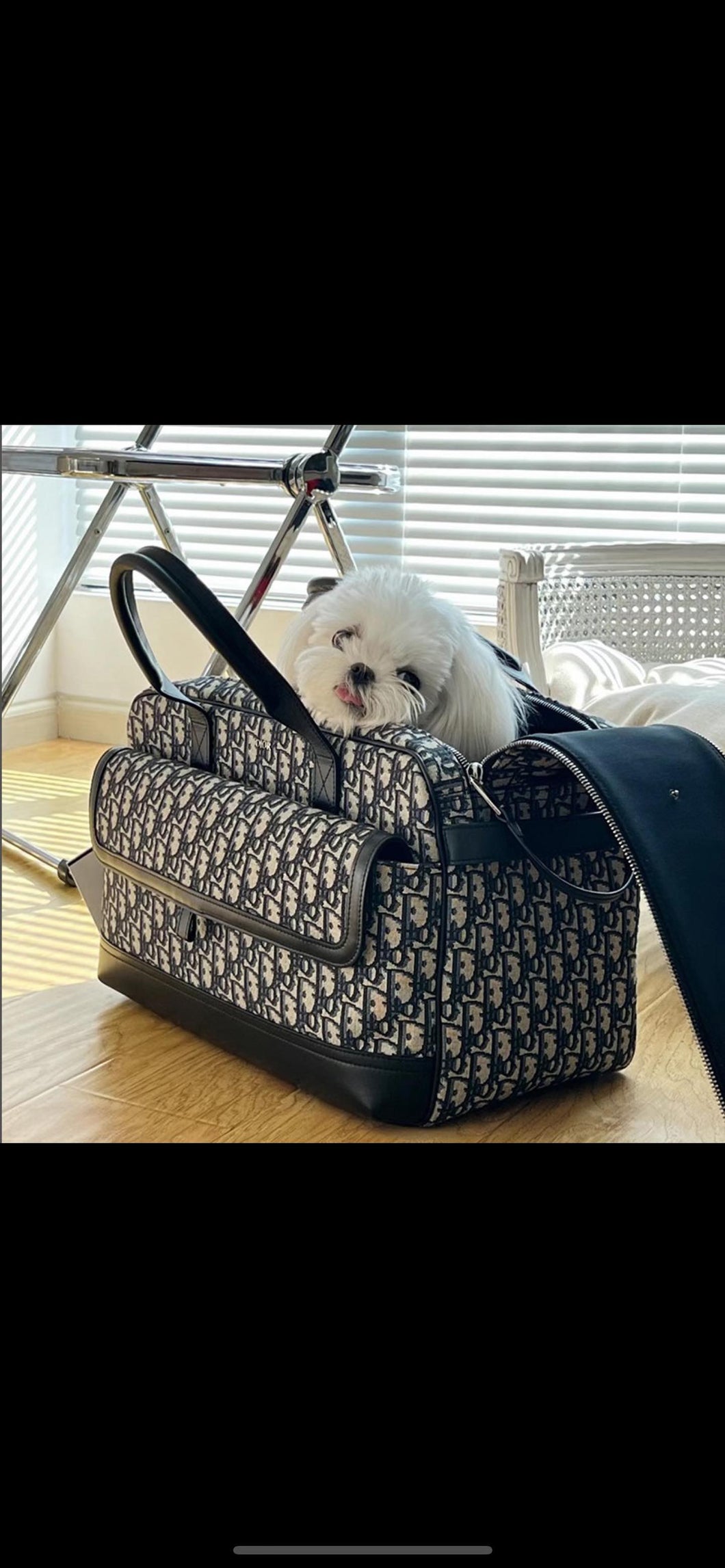 Dogior pet carrier