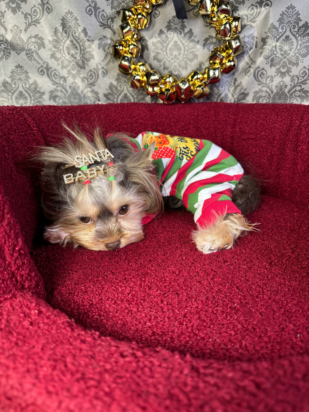 Christmas Pjs (Pet Sizes)