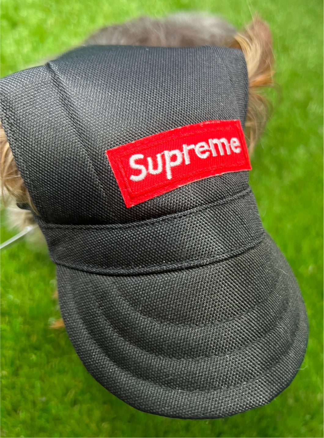 Pupreme hat