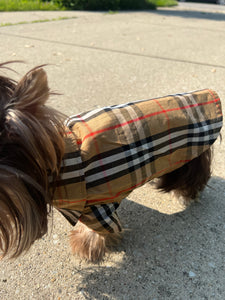 Fly Dog Button Up