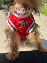 Cargar imagen en el visor de la galería, Main Player Jersey (Red)
