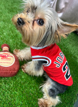 Cargar imagen en el visor de la galería, Main Player Jersey (Red)
