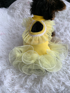 Yellow Tulle Dress