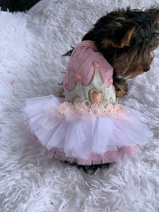 Princess tutu dress