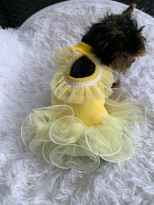 Yellow Tulle Dress