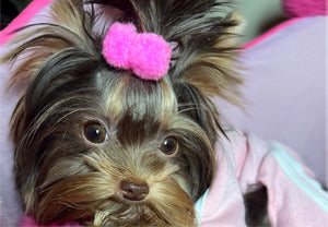 Pink Pompom Hair tie