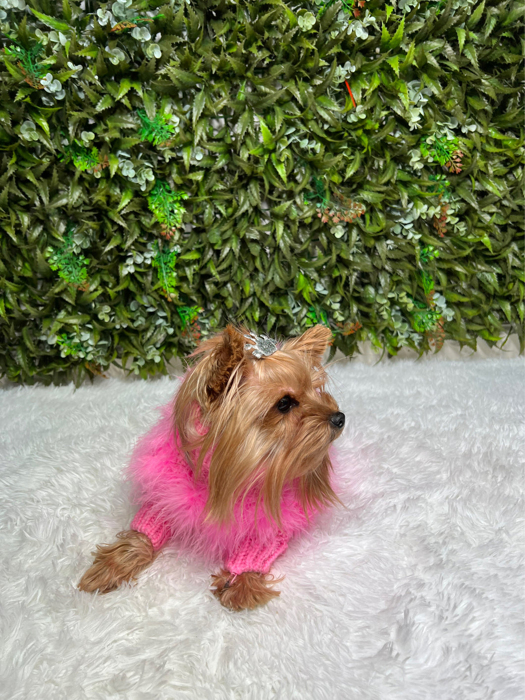 Legally Cute Pet Sweater (pink)