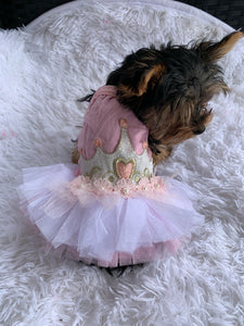 Princess tutu dress