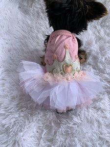 Princess tutu dress