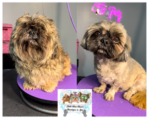 Deluxe 🐾Full Dog Groom (Deposit only)