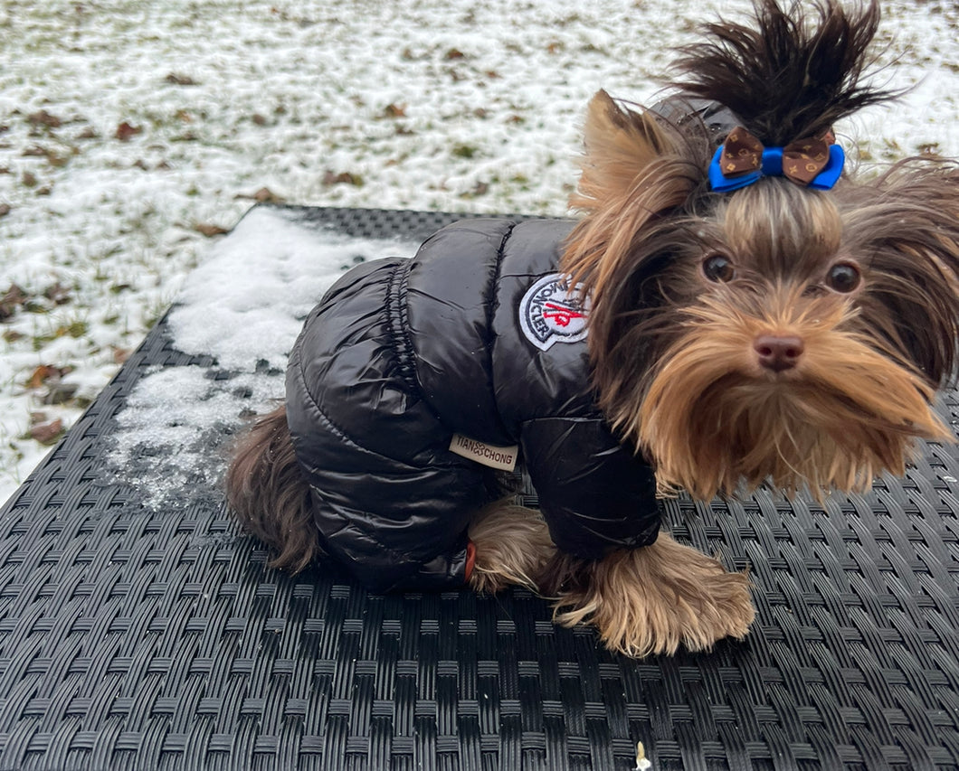 PupCler coat